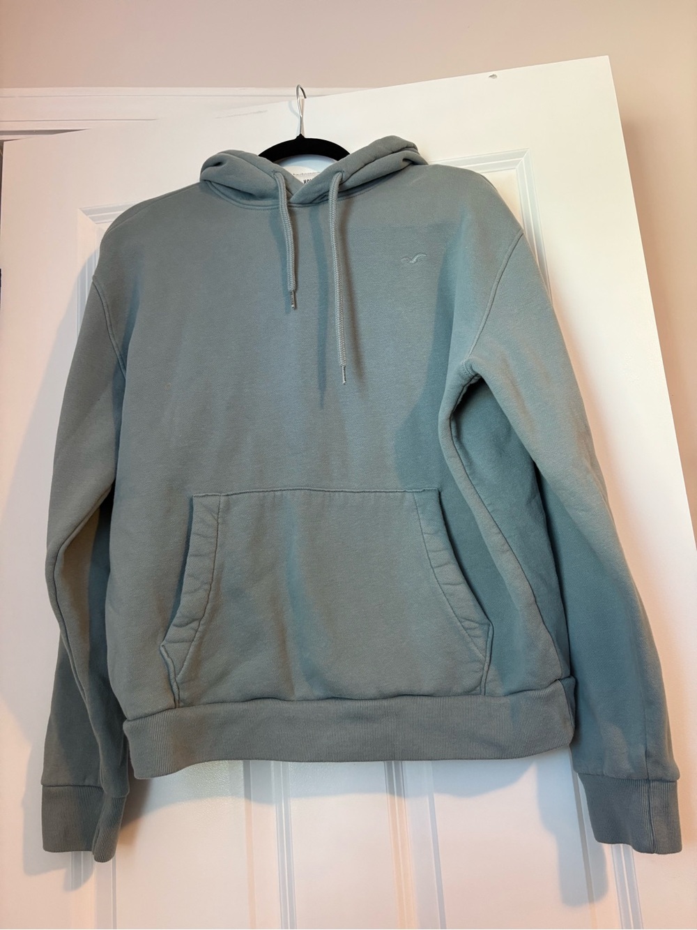 Hollister Men's Light Teal Hoodie